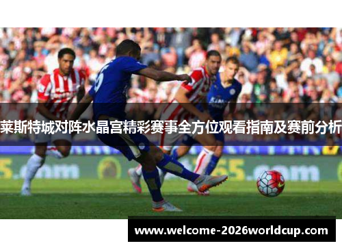 莱斯特城对阵水晶宫精彩赛事全方位观看指南及赛前分析